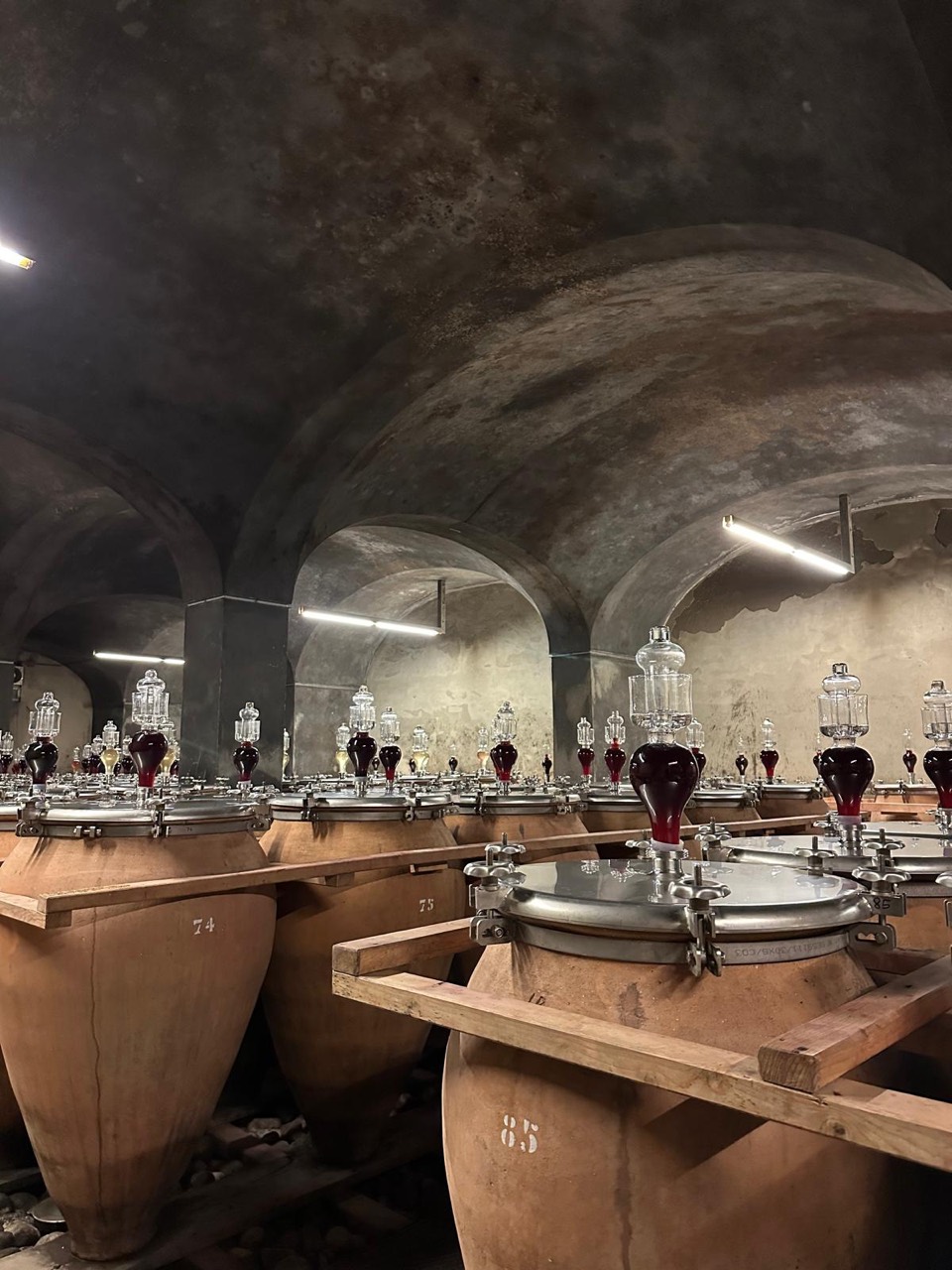 Le anfore della cantina Foradori sotto soffitti a volta.